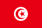 متوسط الدخل - مدير مبيعات / Tunis